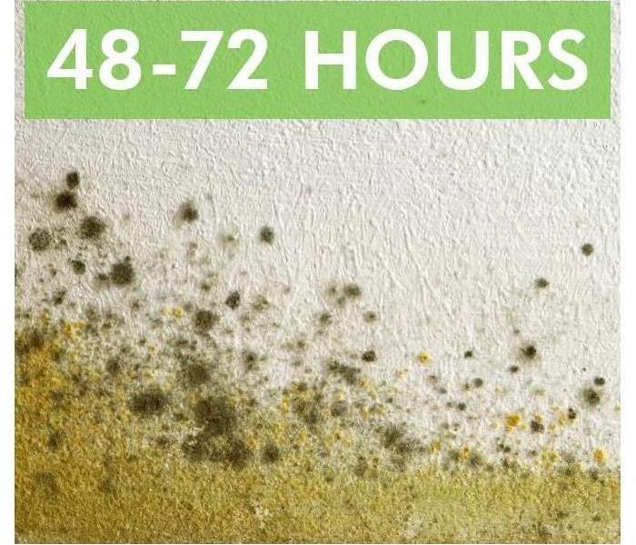 Graphic with mold stating it can grow within 48-72 hours