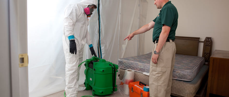 Kissimmee, FL mold removal process